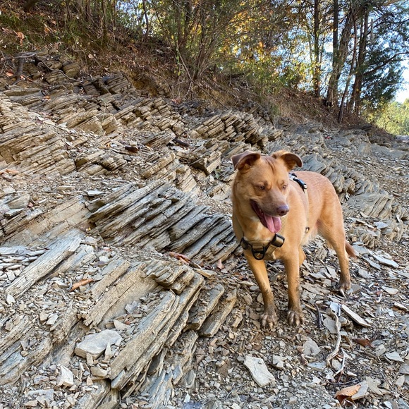 Meet your Posher, Christina - Picture 5 of 7